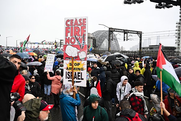 一名抗议者在支持巴勒斯坦的抗议活动中举着“立即停火”的标语。