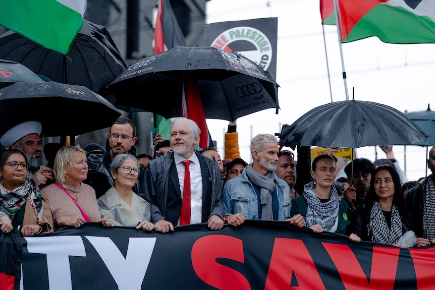 Pro-Palestinian protester cross Sydney Harbour Bridge with people with flags, signs and umbrellas