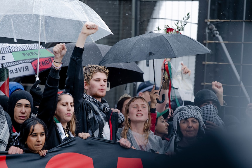 Pro-Palestinian protester with hands up