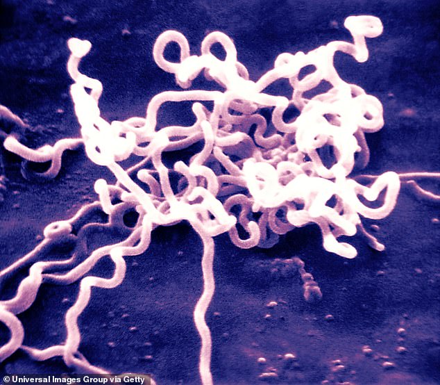 Syphilis is making a comeback in Australia and it often strikes with no symptoms