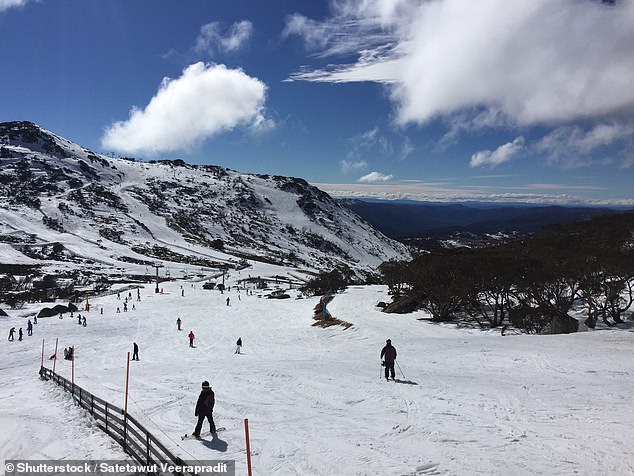 Paramedics rushed to the mountain but the snowboarder died at the scene