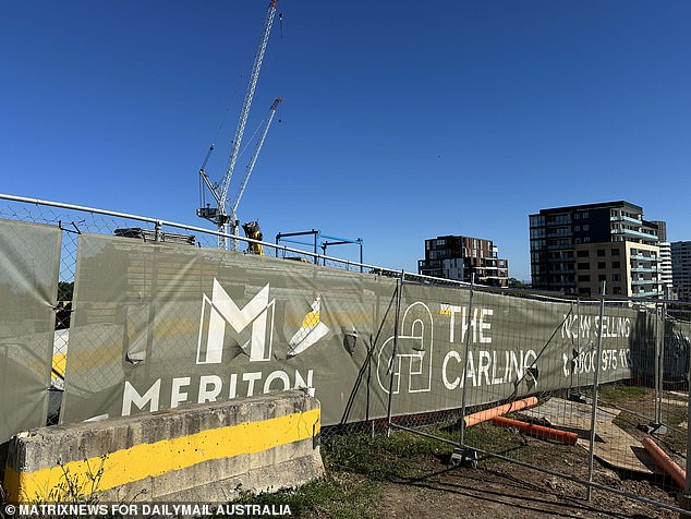 Meriton's Carlingford development includes plans for a community centre, library and a supermarket