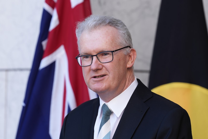 Tony Burke in front of flags.