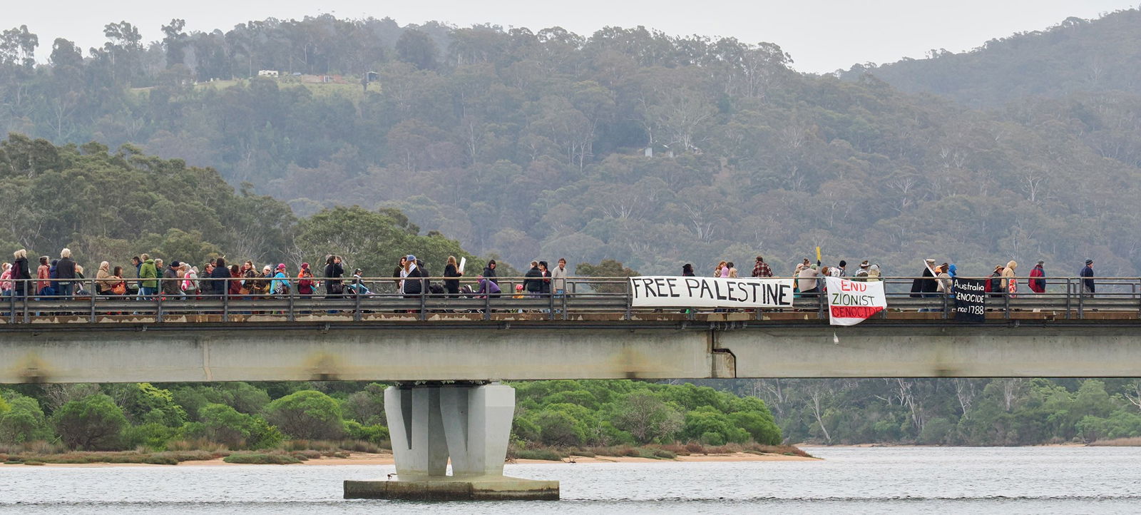 抗议者走过一座桥，桥栏杆上悬挂着“自由巴勒斯坦”的横幅