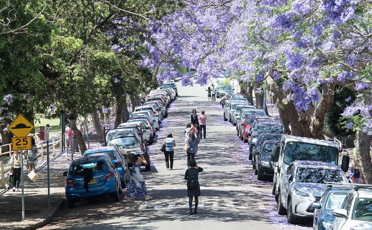 68ac1e8d08951.png 企业微信截图_17561100416831.png