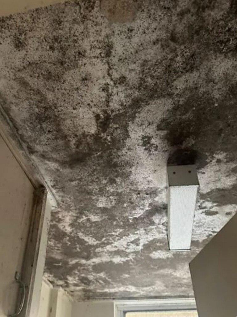 68b161c5679ea.png 企业微信截图_17564551647176.png