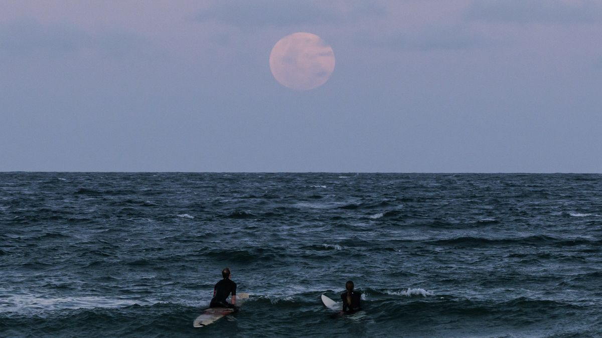 68ba4ff8533dc.png 企业微信截图_17570404855279.png