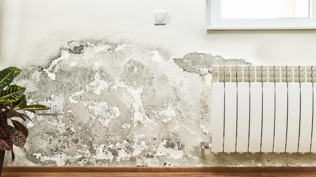 68ba8f87603c8.png 企业微信截图_17570567383075.png