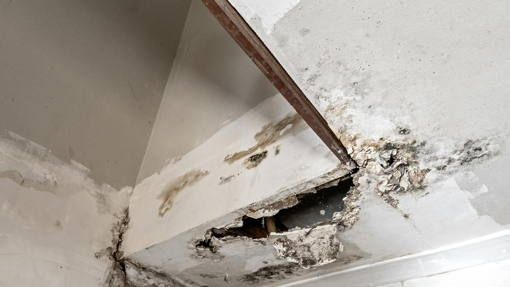 68ba8f89b51c4.png 企业微信截图_17570567574684.png