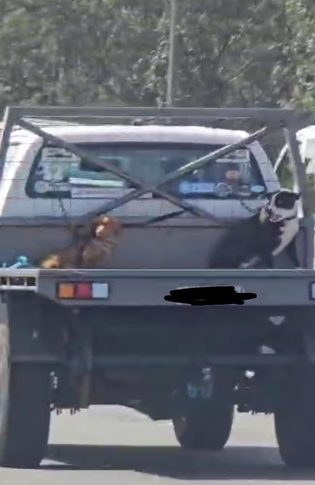 68be725b5716d.png 企业微信截图_17573111863453.png