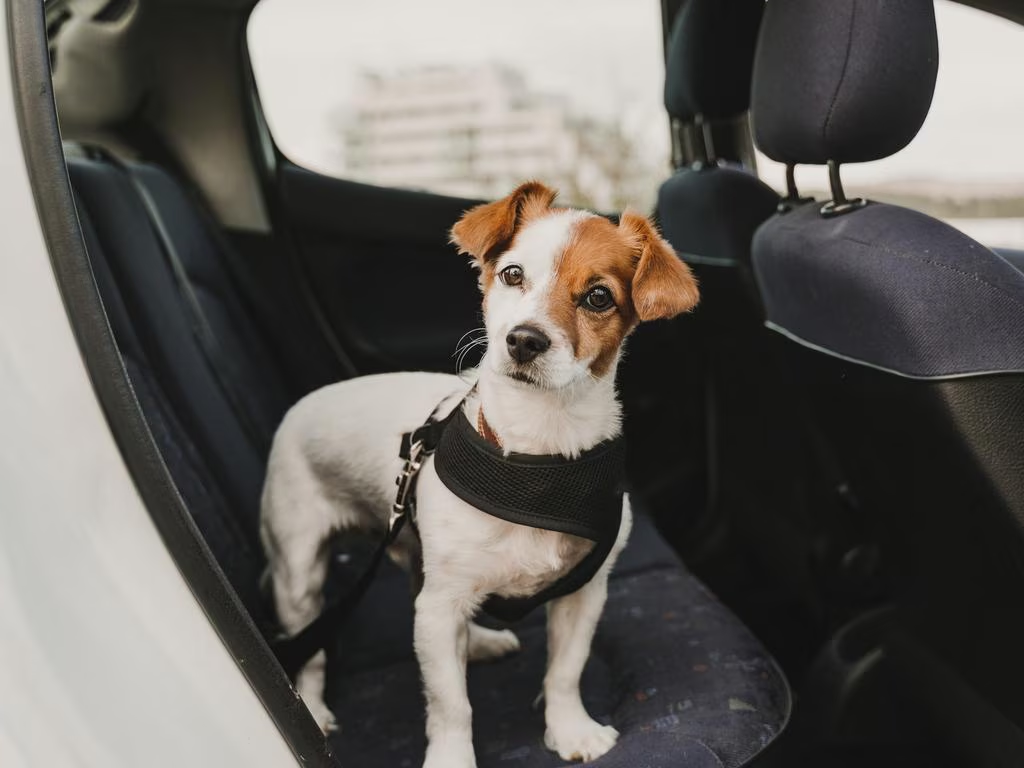 68be726c31d7a.png 企业微信截图_17573112032769.png