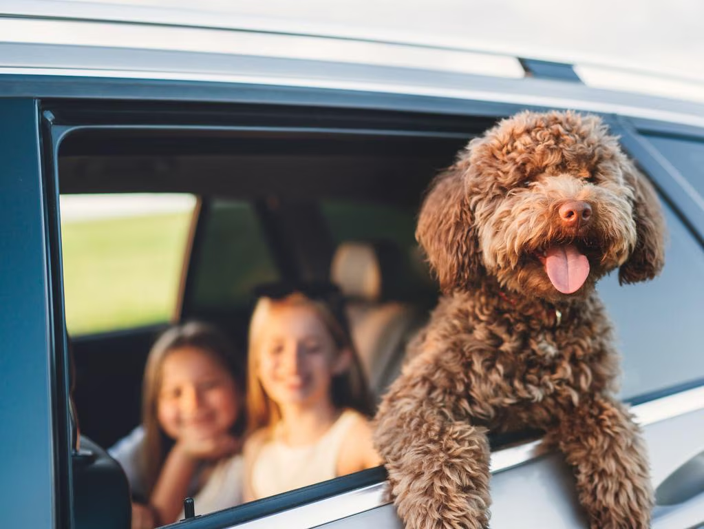 68be7270d507d.png 企业微信截图_17573112136442.png