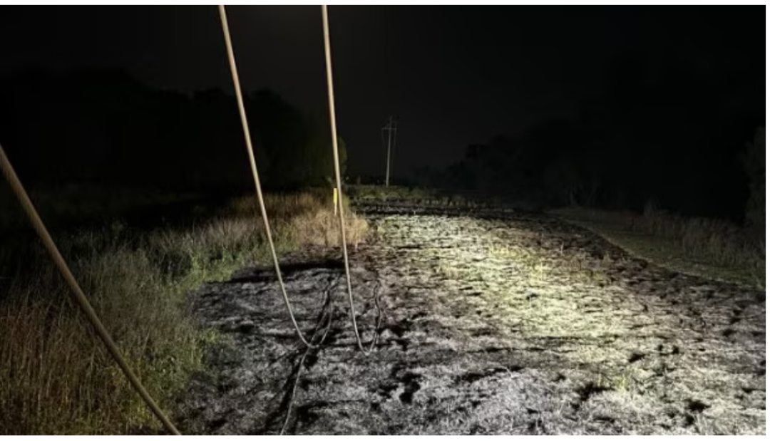 68bfb570c994e.png image.png