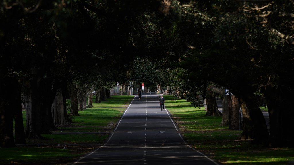 68c0cc4f64636.png image.png