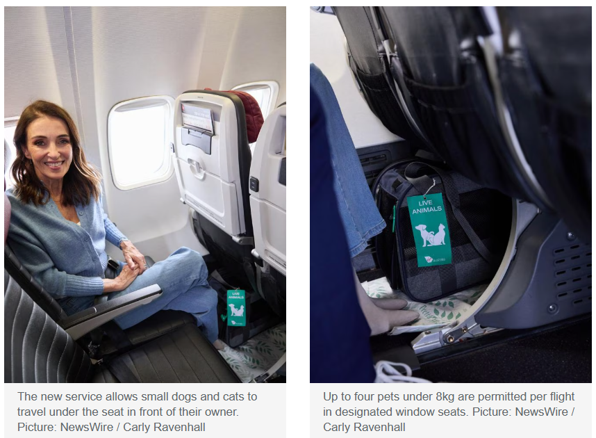 68ca67882fcd4.png 企业微信截图_17580949536307.png