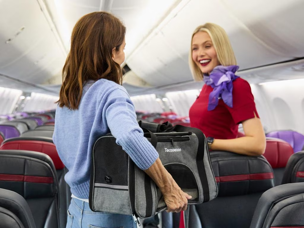 68ca678ab6d31.png 企业微信截图_17580949376561.png