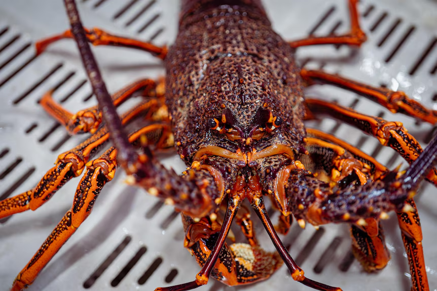 68d5e1305632a.png 企业微信截图_1758846801528.png