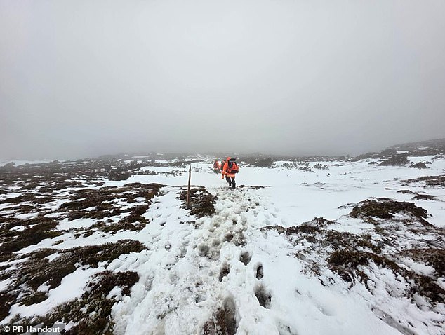 The hikers did not have the appropriate equipment or a personal locator beacon, so they could not raise the alarm (pictured, rescue crews are seen at Cradle Mountain)