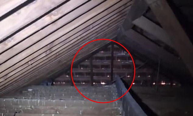 Droppings seeped from the roof and into the home below