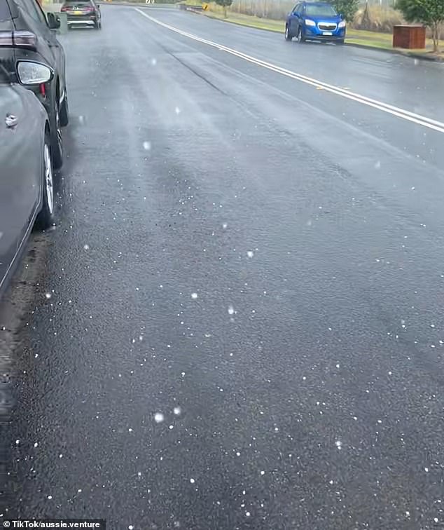 Large hailstones have pelted parts of Sydney, seen in a video shared to social media on Friday