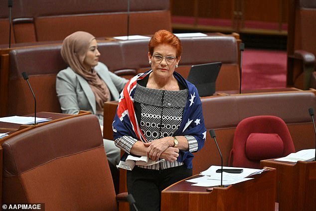 The shock statement comes after Pauline Hanson (pictured) did not deny ongoing discussions with Joyce about joining One Nation when asked by the media on Friday afternoon