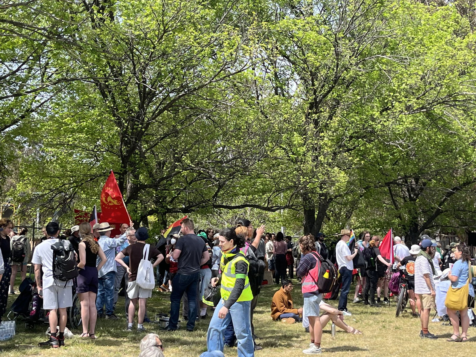 一群人聚集在一片绿叶区域