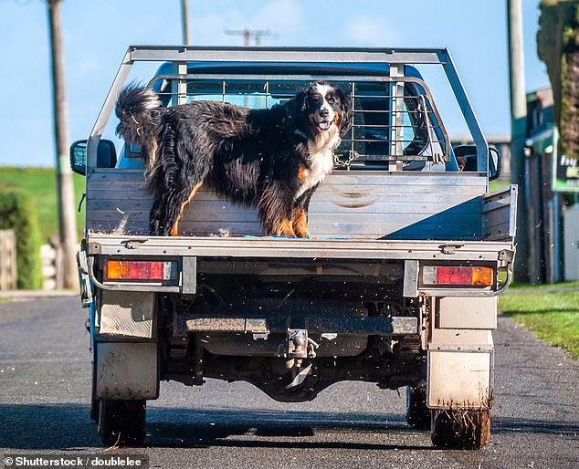 Farmers and rural tradies could suffer under the proposal