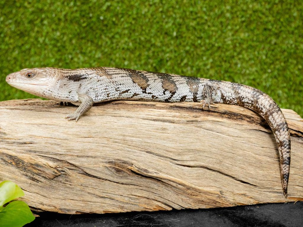 690ace536b447.png 企业微信截图_17623155057618.png