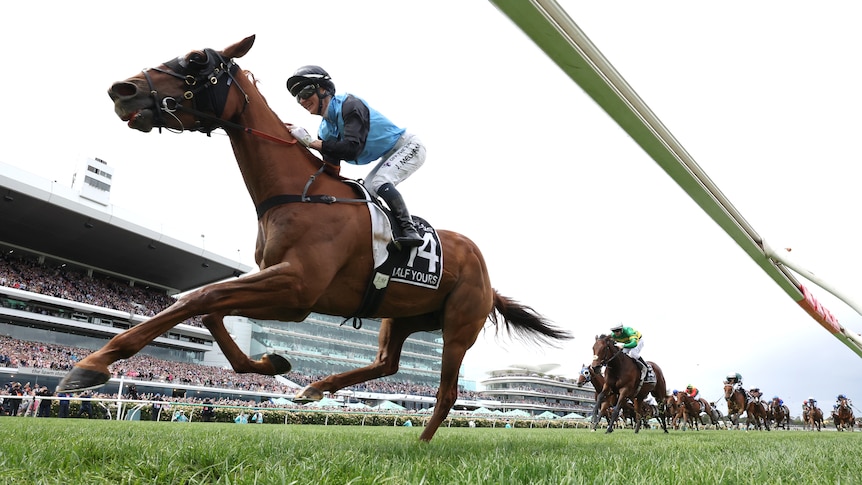 一名女骑师策马急奔