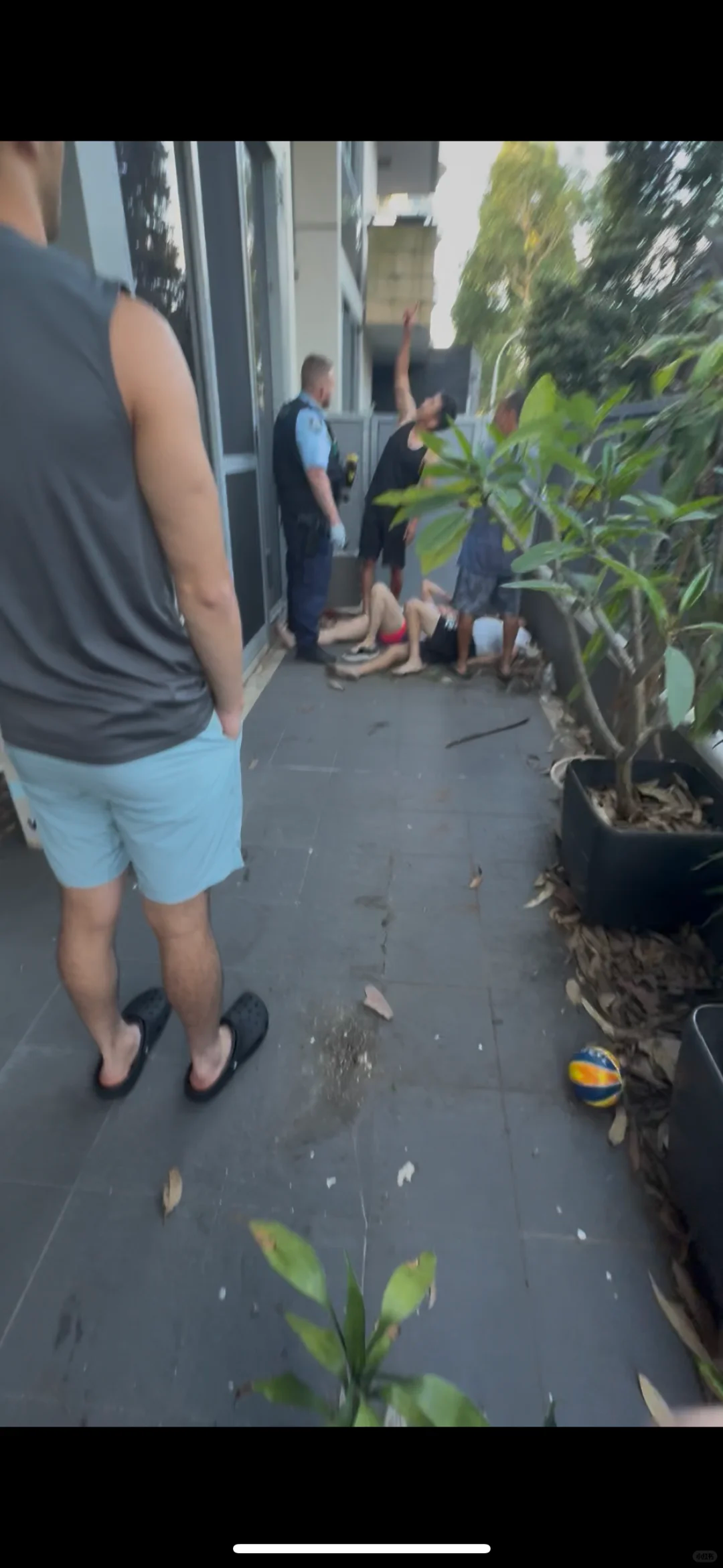 69114226c291c.png image.png