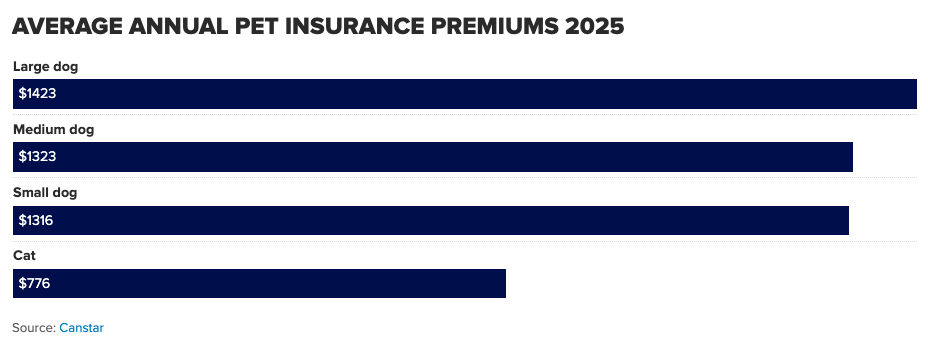 6913e30278e97.png image.png