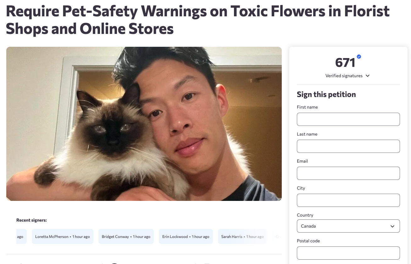 6913e48dc4366.png image.png