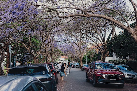 基里比利 (Kirribilli) 的公寓价格中位数一年内下降了超过 15%。