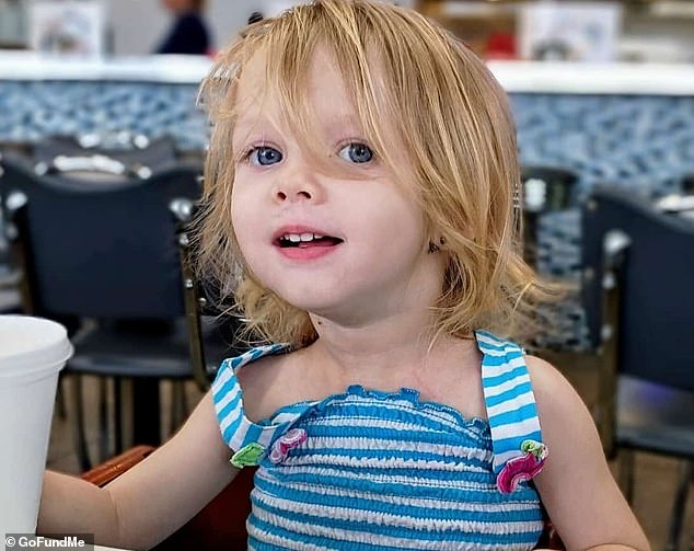 Their 2-year-old daughter Locklynn McGuire was mauled to death by one of four family dogs