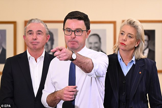 Nationals leader David Littleproud (centre) slammed the spending and said Australians 'deserve transparency' regarding the much-maligned website