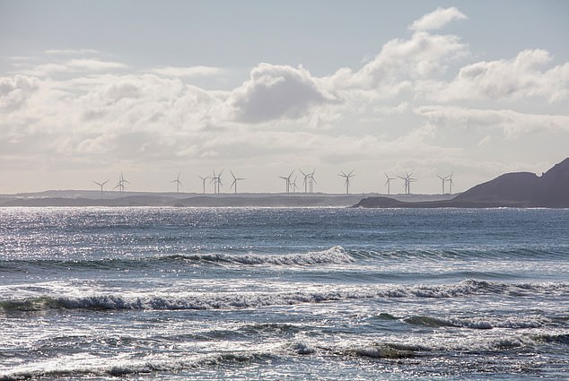 这一发现引发了人们对该问题可能更为普遍的担忧,州和国家监管机构已展开调查,以确定受影响的地点(图为塔斯马尼亚州风力发电场的风力涡轮机)。