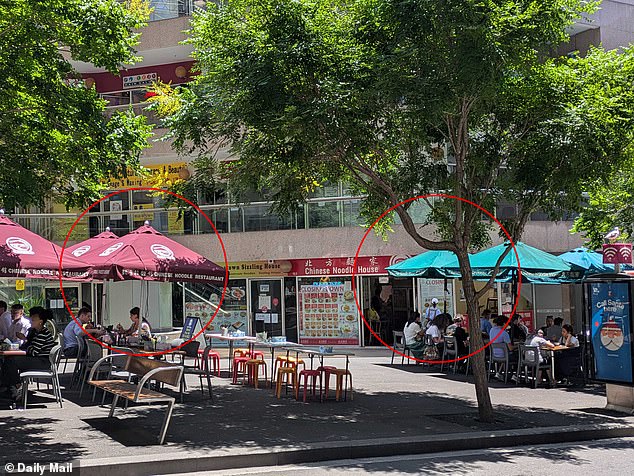 In addition to having similar names, both Chinese Noodle House (right) and Chinese Noodle Restaurant (left) offer similar Northern Chinese cuisine and even have similar outdoor tables with umbrellas