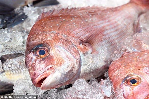 Stocks of&nbsp;pink snapper are running very low and the ban has been put in place to save them