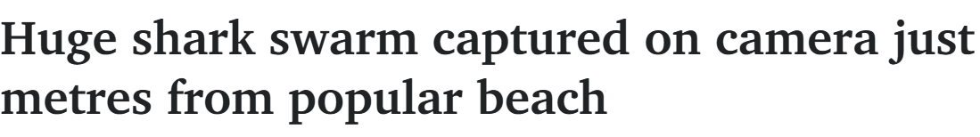 693618e836a7d.png 9ebed9d78671759e42da485c17af0c7.png