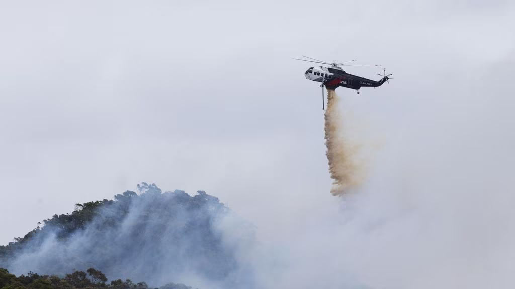 693772a94cbcb.png 企业微信截图_17652411981857.png