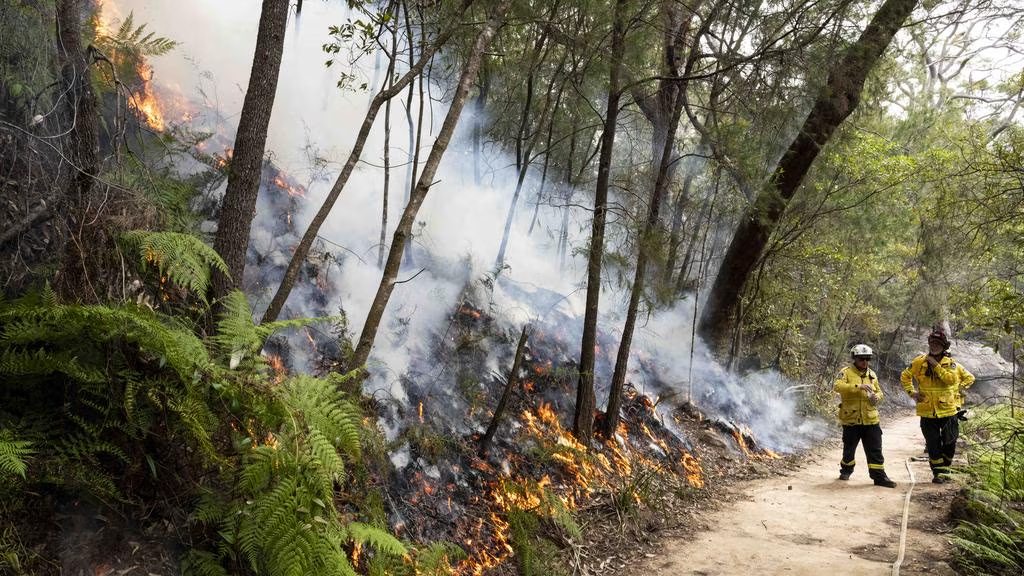 693772b5643d1.png 企业微信截图_17652412284135.png