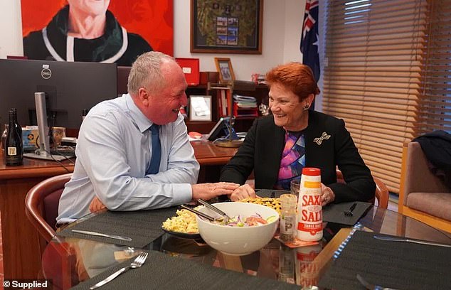 Hanson (right) had publicly and privately courted Joyce (left) to join One Nation for months