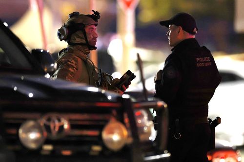 2025年12月14日,澳大利亚悉尼邦迪海滩发生大规模枪击事件,全副武装的警察在现场。