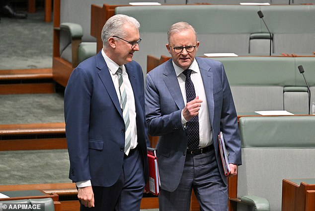 移民部长托尼·伯克（左图）领导的内政部，佩利表示，该部门无视了他提供的有关移民诈骗的线索。