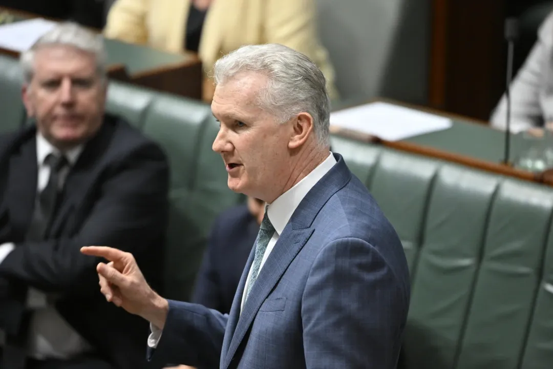 Tony Burke MP