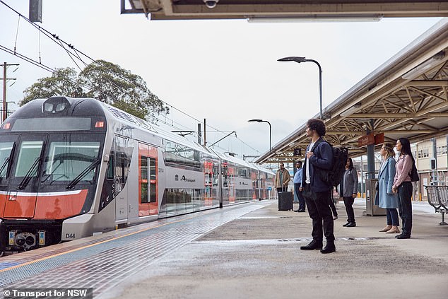 The slick new Mariyung Fleet of trains has quietly rolled out on several of Sydney's busiest train lines