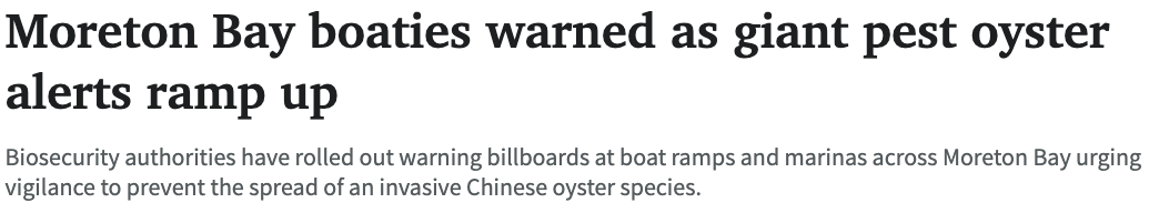 69646c127bcc2.png 图片