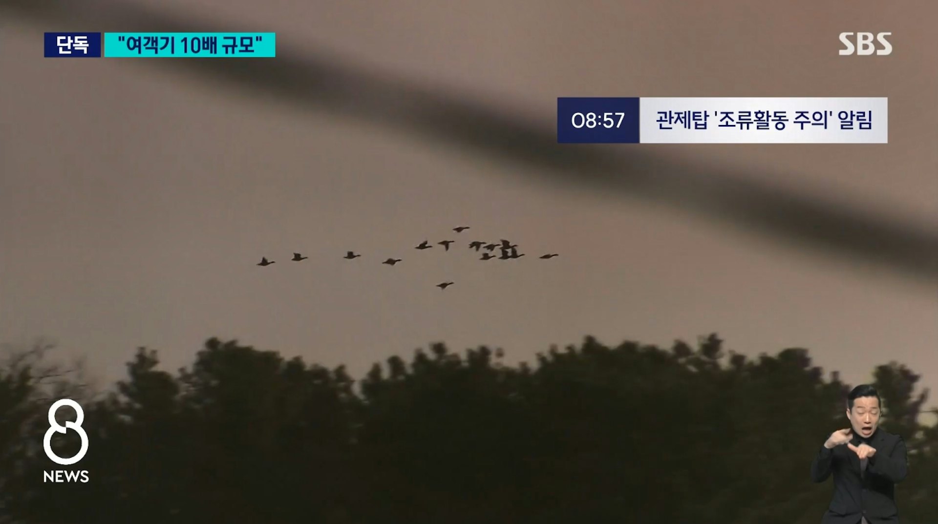 7C2216失事前疑似撞上一群比客机还要大10倍的鸟群，才会导致两边引擎都故障且无法放下起落架，最终酿成悲剧。（YouTube@SBS）