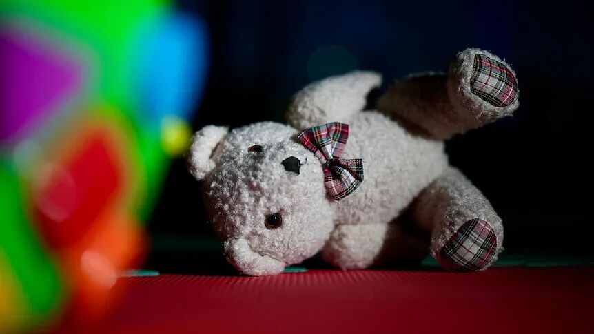 澳托儿所虐童丑闻曝光:掌掴幼童、暴力摇晃、藏娈童材料…(组图) - 1