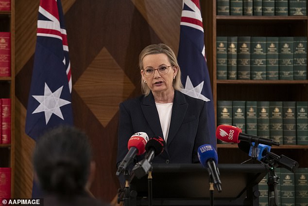 Opposition leader Sussan Ley (pictured) said the legislation is 'pretty unsalvageable' after refusing to support the new hate laws